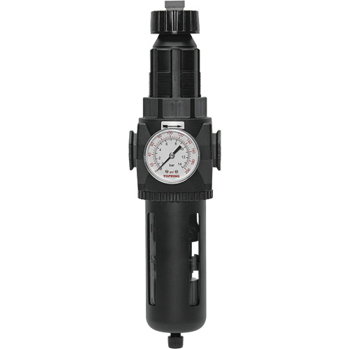 Modulair 400 Filter/Regulator with Manual Drain, 3/4" NPT, 200 psi, 9.1 fl. oz. Capacity Helyx Safety & Industrial Supplies