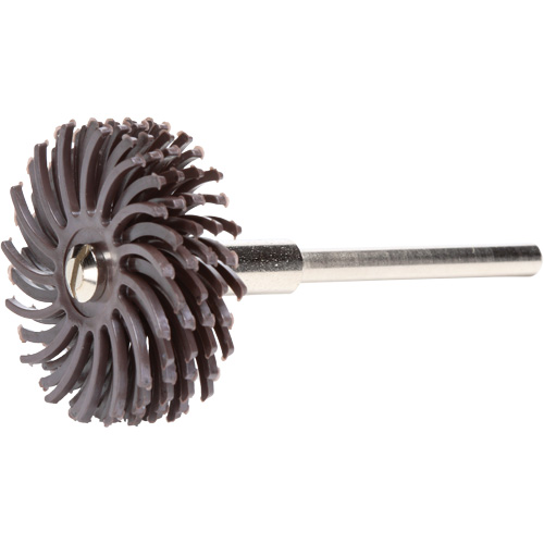 Scotch-Brite Radial Bristle Discs, Ceramic, 36X Grit, 1" Dia. Helyx Safety & Industrial Supplies