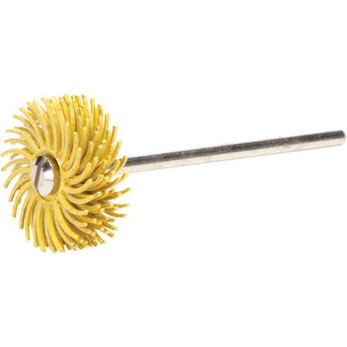 Disques &agrave; soies radiales Scotch-Brite, Grain 80X, 3/4" dia. Helyx Safety & Industrial Supplies