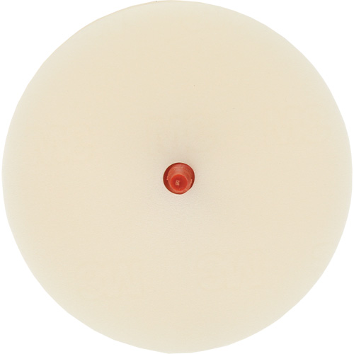 Scotch-Brite Moulding Adhesive & Stripe Removal Disc, 7501, 4" Dia. Helyx Safety & Industrial Supplies