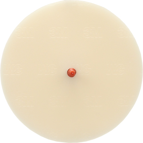 Disque Scotch-Brite 7502 pour retrait de colle et de bandes de moulage, 6" dia. Helyx Safety & Industrial Supplies