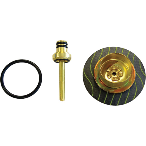 Filter/Regulator - Relieving Diaphragm & Valve Assembly Helyx Safety & Industrial Supplies