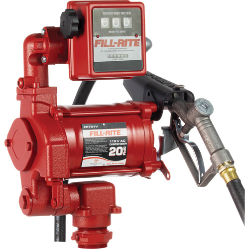 Pompes &agrave; palettes, rotatives & utilitaires, c.a., 115 V, 20 gal./min Helyx Safety & Industrial Supplies