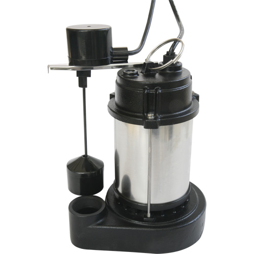 Pompe &agrave; boîtier en acier inoxydable et base en fonte, 1/3 CV, D&eacute;bit 3630 gal./h Helyx Safety & Industrial Supplies