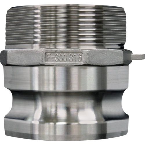 Cam & Groove Coupling, Stainless Steel, Type F, 3/4", Male NPT, 250 PSI Helyx Safety & Industrial Supplies