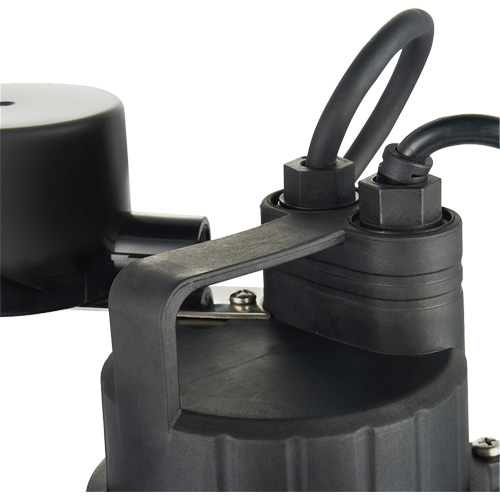 Pompe de puisard submersible thermoplastique, 2560 gal./h, 115 V, 4,6 A, 1/3 CV Helyx Safety & Industrial Supplies