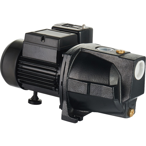 Dual Voltage Cast Iron Shallow Well Jet Pump, 115 V/230 V, 1100 GPH, 1 HP Helyx Safety & Industrial Supplies
