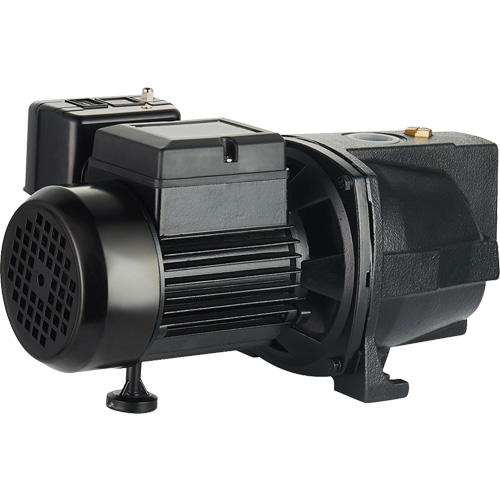 Dual Voltage Cast Iron Shallow Well Jet Pump, 115 V/230 V, 1100 GPH, 1 HP Helyx Safety & Industrial Supplies