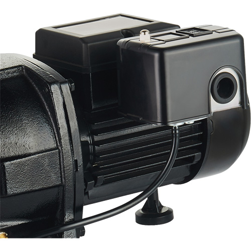 Dual Voltage Cast Iron Shallow Well Jet Pump, 115 V/230 V, 1100 GPH, 1 HP Helyx Safety & Industrial Supplies