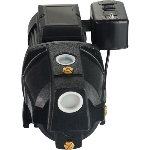 Dual Voltage Cast Iron Shallow Well Jet Pump, 115 V/230 V, 1100 GPH, 1 HP Helyx Safety & Industrial Supplies