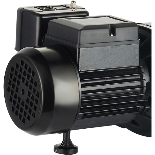 Dual Voltage Cast Iron Shallow Well Jet Pump, 115 V/230 V, 1100 GPH, 1 HP Helyx Safety & Industrial Supplies