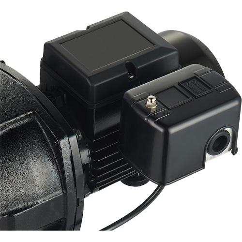 Dual Voltage Cast Iron Shallow Well Jet Pump, 115 V/230 V, 1100 GPH, 1 HP Helyx Safety & Industrial Supplies