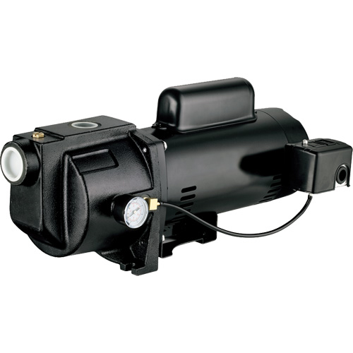 Dual Voltage Cast Iron Shallow Well Jet Pump, 115 V/230 V, 1260 GPH, 1 HP Helyx Safety & Industrial Supplies
