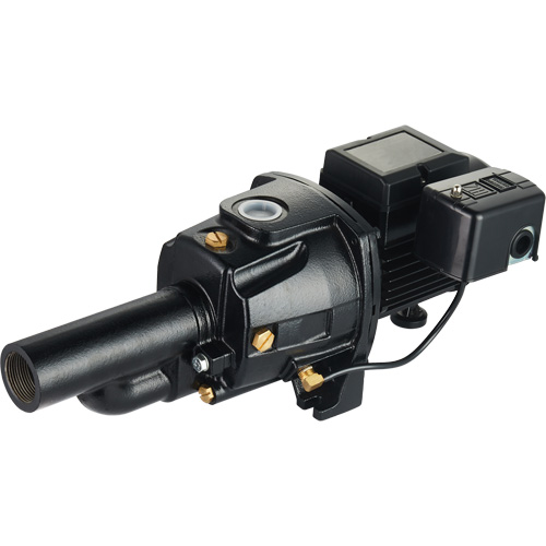 Dual Voltage Cast Iron Convertible Jet Pump, 115 V/230 V, 1400 GPH, 3/4 HP Helyx Safety & Industrial Supplies