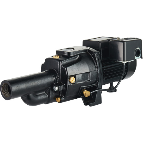 Dual Voltage Cast Iron Convertible Jet Pump, 115 V/230 V, 1400 GPH, 3/4 HP Helyx Safety & Industrial Supplies