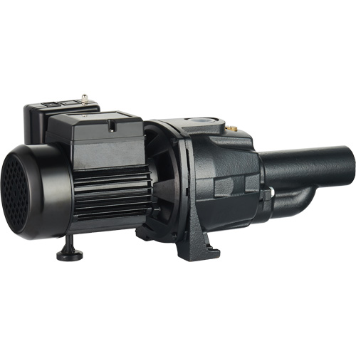 Dual Voltage Cast Iron Convertible Jet Pump, 115 V/230 V, 1400 GPH, 3/4 HP Helyx Safety & Industrial Supplies