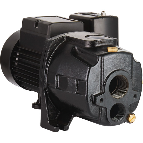 Dual Voltage Cast Iron Convertible Jet Pump, 115 V/230 V, 1400 GPH, 3/4 HP Helyx Safety & Industrial Supplies