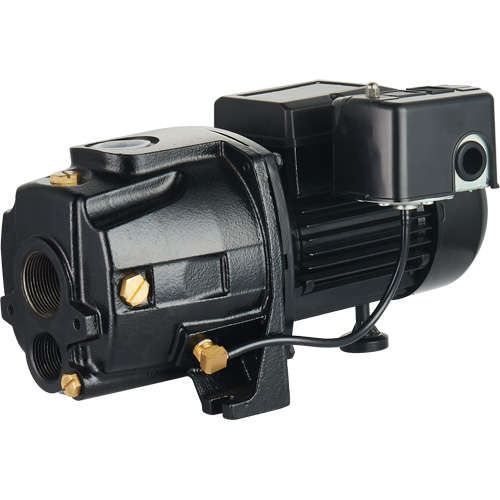 Dual Voltage Cast Iron Convertible Jet Pump, 115 V/230 V, 1400 GPH, 3/4 HP Helyx Safety & Industrial Supplies