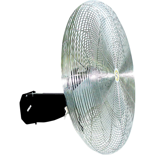 Oscillating Wall fan, Industrial, 3 Speed, 30" Diameter Helyx Safety & Industrial Supplies