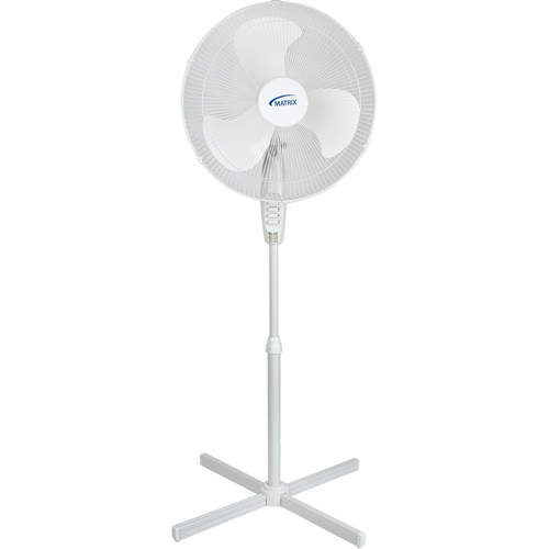 Oscillating Pedestal Fan, Commercial, 3 Speed, 18" Diameter Helyx Safety & Industrial Supplies