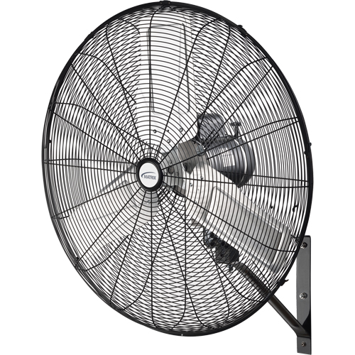 Ventilateur mural oscillant, Industriel, 2 vitesses, Diam&egrave;tre de 30" Helyx Safety & Industrial Supplies