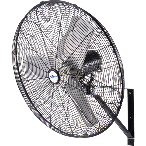 Waterproof Motor Misting & Oscillating Pedestal Fan, Industrial, 3 Speed, 30" Diameter Helyx Safety & Industrial Supplies