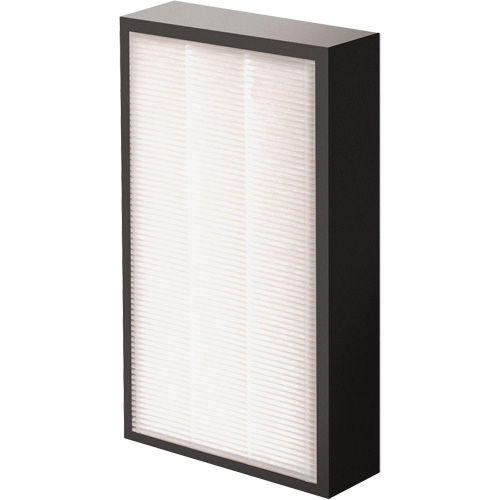 AeraMax&reg; Pro AM2 1-3/4" True HEPA Filter, Box, 7.38" W x 1.88" D x 12.88" H Helyx Safety & Industrial Supplies