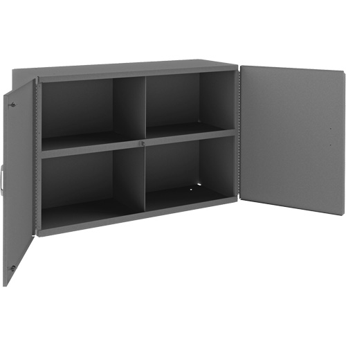 Wall-Mountable Cabinet, 24" H x 33-13/16" W x 12-3/8" D, 1 Shelves, Steel, Grey Helyx Safety & Industrial Supplies