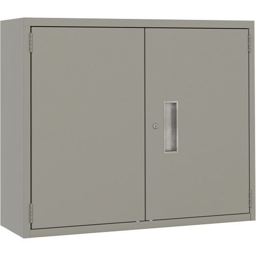 Armoire murale, Acier, 2 Tablettes, 30" h x 36" la x 12" P, Gris Helyx Safety & Industrial Supplies