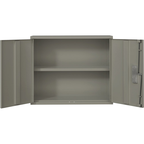 Armoire murale, Acier, 2 Tablettes, 30" h x 36" la x 12" P, Gris Helyx Safety & Industrial Supplies