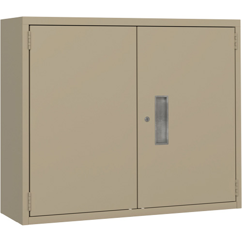 Armoire murale, Acier, 2 Tablettes, 30" h x 36" la x 12" P, Beige Helyx Safety & Industrial Supplies