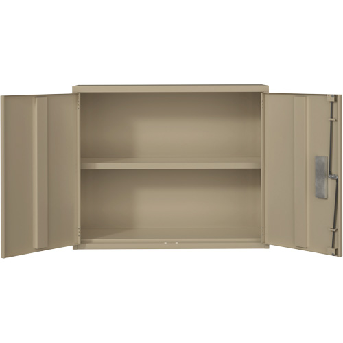 Armoire murale, Acier, 2 Tablettes, 30" h x 36" la x 12" P, Beige Helyx Safety & Industrial Supplies