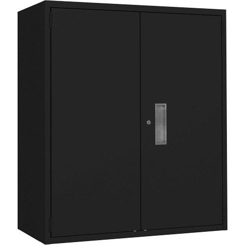 Armoire de rangement Lo-Boy, Acier, 2 Tablettes, 42" h x 36" la x 18" P, Noir Helyx Safety & Industrial Supplies