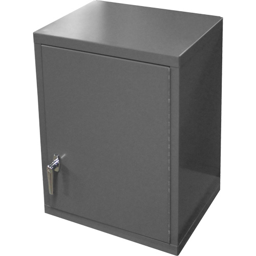 Wall-Mounted Cabinet, 27" H x 13-11/16" W x 18" D, 2 Shelves, Steel, Grey Helyx Safety & Industrial Supplies