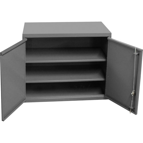 Wall-Mounted Cabinet, 27" H x 13-11/16" W x 35-7/8" D, 2 Shelves, Steel, Grey Helyx Safety & Industrial Supplies
