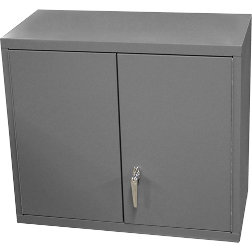 Wall-Mounted Cabinet, 27" H x 13-11/16" W x 35-7/8" D, 2 Shelves, Steel, Grey Helyx Safety & Industrial Supplies