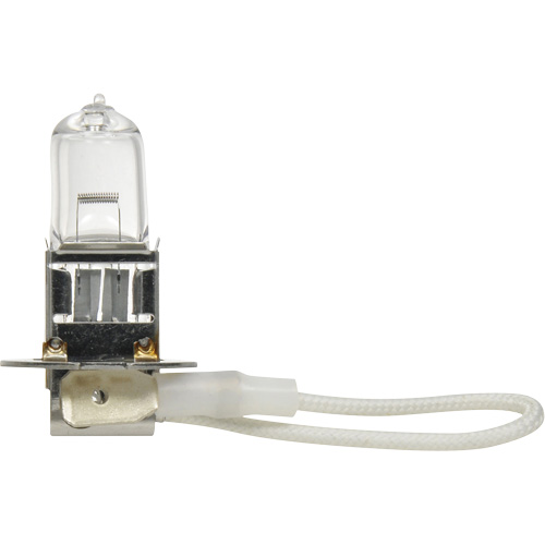 Ampoule de base pour feu avant H3, Halog&egrave;ne, 45 W, Blanc cass&eacute; Helyx Safety & Industrial Supplies