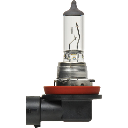 H8 Basic Headlight Bulb, Halogen, 35 W, Off White Helyx Safety & Industrial Supplies