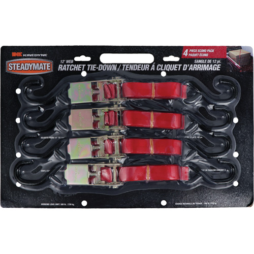 Tendeurs d'arrimage &agrave; cliquet, Crochet en S, 1" , 12' , Charge d'utilisation max. 500 lb (230 kg) Helyx Safety & Industrial Supplies