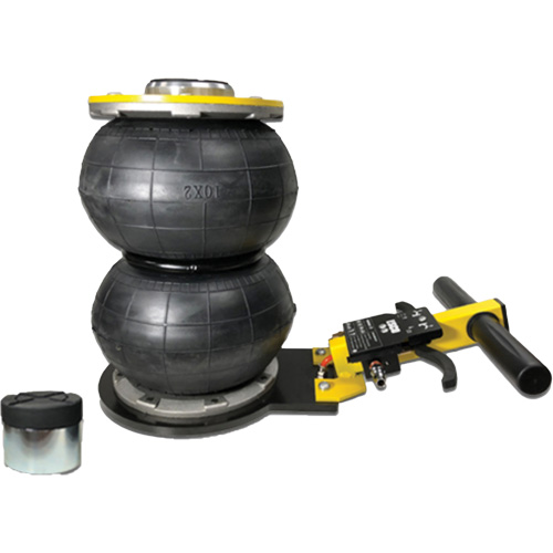 V&eacute;rin &agrave; coussin gonflable biphas&eacute; s&eacute;rie Pro, 2 tonne(s), 17" Hauteur &eacute;lev&eacute;e Helyx Safety & Industrial Supplies