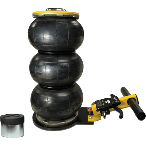 V&eacute;rin &agrave; coussin gonflable triphas&eacute; s&eacute;rie Pro, 2 tonne(s), 22" Hauteur &eacute;lev&eacute;e Helyx Safety & Industrial Supplies