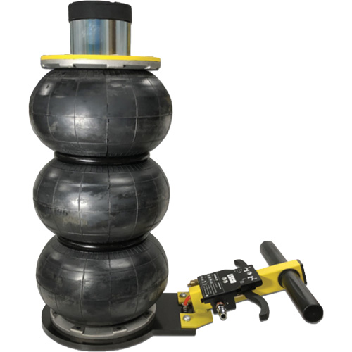 V&eacute;rin &agrave; coussin gonflable triphas&eacute; s&eacute;rie Pro, 2 tonne(s), 22" Hauteur &eacute;lev&eacute;e Helyx Safety & Industrial Supplies