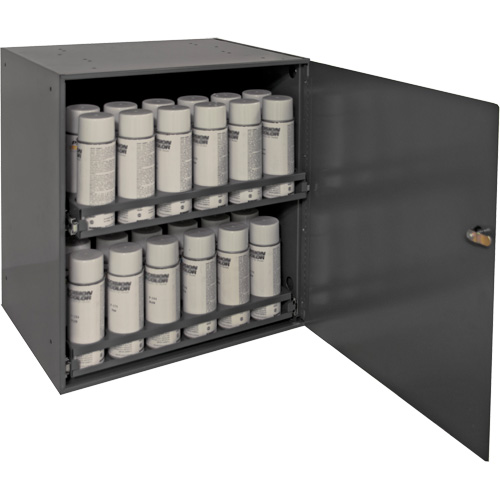 Aerosol Storage Cabinet, Steel, 21-7/8" H x 15-15/16" W x 20-5/16" D, Grey Helyx Safety & Industrial Supplies