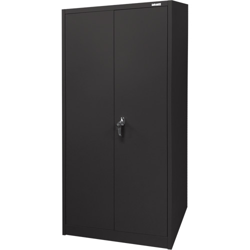 Armoire d'entreposage, Acier, 4 Tablettes, 66" h x 30" la x 15" P, Noir Helyx Safety & Industrial Supplies