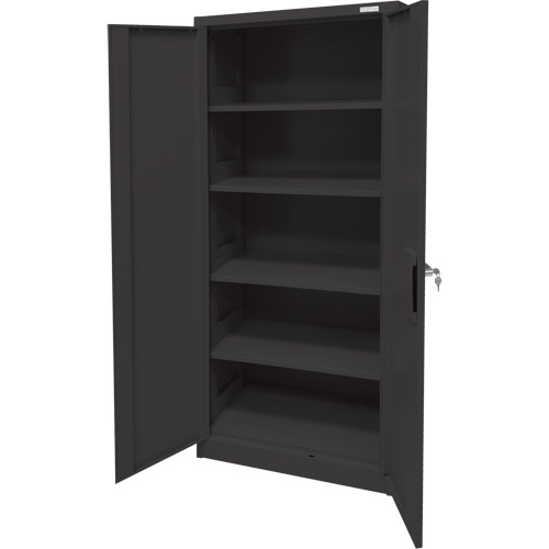 Armoire d'entreposage, Acier, 4 Tablettes, 66" h x 30" la x 15" P, Noir Helyx Safety & Industrial Supplies