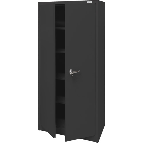 Armoire d'entreposage, Acier, 4 Tablettes, 66" h x 30" la x 15" P, Noir Helyx Safety & Industrial Supplies