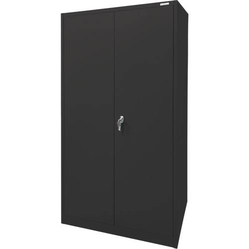 Storage Cabinet, Steel, 4 Shelves, 78" H x 36" W x 24" D, Black Helyx Safety & Industrial Supplies