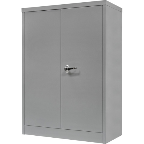 Counter-High Storage Cabinet, Steel, 2 Shelves, 42" H x 30" W x 15" D, Grey Helyx Safety & Industrial Supplies