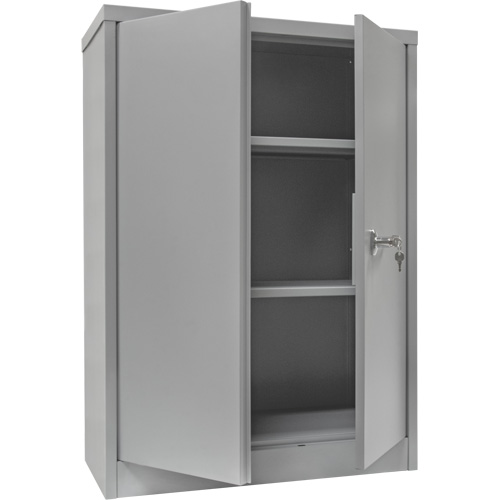 Counter-High Storage Cabinet, Steel, 2 Shelves, 42" H x 30" W x 15" D, Grey Helyx Safety & Industrial Supplies