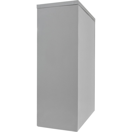 Counter-High Storage Cabinet, Steel, 2 Shelves, 42" H x 30" W x 15" D, Grey Helyx Safety & Industrial Supplies